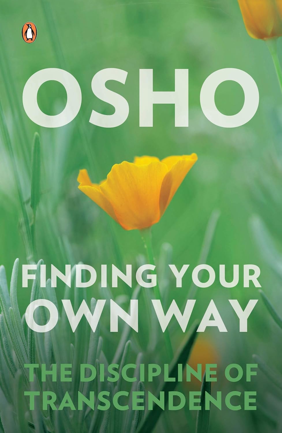 Finding Your Own Way: The Discipline of Transcendence